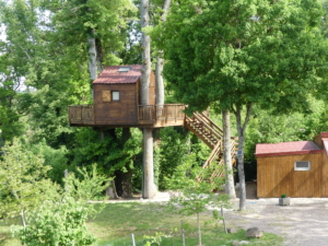 Cabane dans les arbres